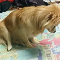 حتما بخونید