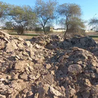 بشرط سالنی کود مرغی|حراج|رامشیر, |دیوار