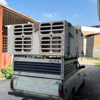 گنجه مرغ و خروس لاری و جفت کن کبوتر،کفتر نقد و چکی