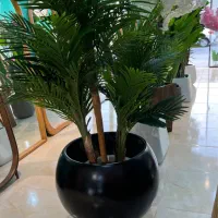 وارد کننده درختچه های مصنوعی