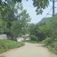 ۵۷۰متر با پروانه ساخت ۱۰۰ متری جنگلی ویو ابدی|فروش زمین و ملک کلنگی|گوراب زرمیخ, |دیوار