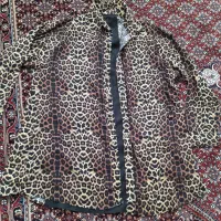 شال لباس|لباس|زنجان, |دیوار