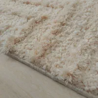 فرش نو پارکو شگی ، پادری ۲ عدد شگی