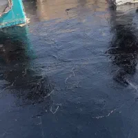 ساختمان|خدمات پیشه و مهارت|اصفهان, بهارستان|دیوار