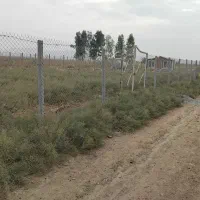 زمین ۸۵۰متر علی آباد