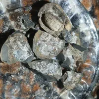 توپی سنگ ارزان