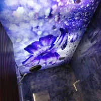 باریسول و لاین نوری سقف مغازه استخر و منزل|خدمات پیشه و مهارت|اصفهان, سعادتآباد|دیوار