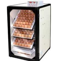 دستگاه جوجه کشی 168 تایی اسکندری