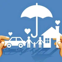 دانا،بازار بیمه ها|خدمات مالی، حسابداری، بیمه|یزد, |دیوار