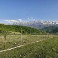 ییلاقی پل سفید سنگده ۱۲۰۰ متر|فروش زمین و ملک کلنگی|فریم, |دیوار