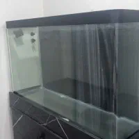 آکواریوم شیشه خم