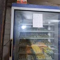 دستگاه جوجه کشی،لامپ مادرمصنوعی|لوازم جانبی حیوانات|لنگرود, |دیوار