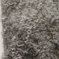 پادری