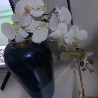 گل و گلدان