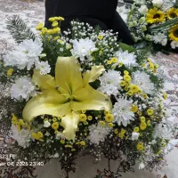 سبد گل|گل و گیاه طبیعی|مشهد, نیروی هوایی|دیوار