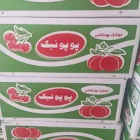 تولید لواشک در مدلهای مختلف|خوردنی و آشامیدنی|پاکدشت, پاکدشت (مامازند)|دیوار