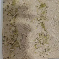 استخدا کارگر ساده خانم