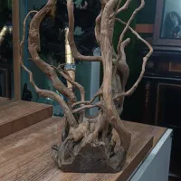 چوب آبنوس آکواریوم