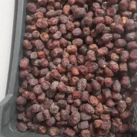 فروش خرمای آلوچه ای یا مرداسنگ در یزد