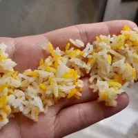 فروش برنج سنگ طارام معطر|حراج|بهشهر, |دیوار