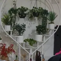 استند قلبی خفن