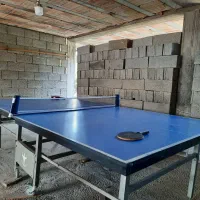 میز پینگ پنگ تاشو چرخ دار سالم|ورزشهای توپی|رامسر, |دیوار