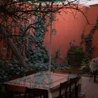 جذب آشپز حرفه ای فست فود