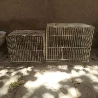 دوتا قفس