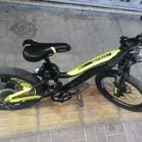 دوچرخه حرفه ای