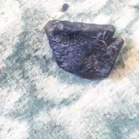 سنگ مرجان زیبا|کلکسیون اشیاء عتیقه|فولادشهر, B4|دیوار