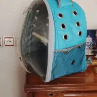 کوله حمل طوطی