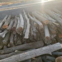 چوب|خدمات باغبانی و درختکاری|یاسوج, |دیوار