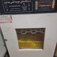 فروش جوجه گیری 43 تایی