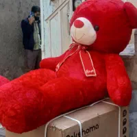 عروسک ۲متری نوی نوی جدید|اسباببازی بچه|مشهد, بهمن|دیوار