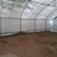 چادر مراسم|خدمات پذیرایی، مراسم|اسکو, |دیوار