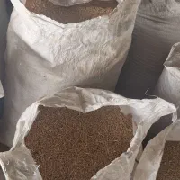 گندم دهدشت|عمده‌فروشی|ایذه, |دیوار