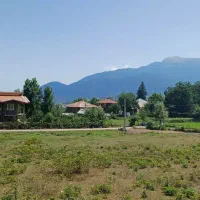 دو قطعه زمین ۶۴۰ متری در روستای ولیجار توتکابن