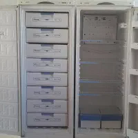 ۴ عدد فرش ۱۲متری|فرش|ابریشم, |دیوار