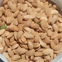 بادام تازه پرمغز چهارمحال|خوردنی و آشامیدنی|گتوند, |دیوار