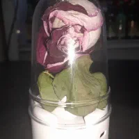 سند مشاء زمین  کشاورزی