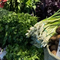 فروش انواع سبزی تازه با قیمتی مناسب