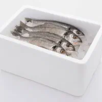 فروش یخدان با قیمت فوق العاده|ظروف نگهدارنده، پلاستیکی، یک‌بارمصرف|تهران, توحید|دیوار