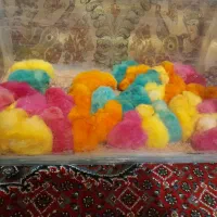 جوجه رنگی ۵۰ عدد