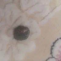 سکه کهن