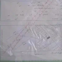زمین زارعی باغی