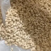 دوتن گندم آبی قیمت ۴۸۰۰۰شهر ارومیه روستا