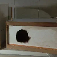 لانه چوبی عروس هلندی|لوازم جانبی حیوانات|بیرجند, |دیوار