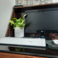 مانیتور ۱۹ الیدی LG  آداپتور الجی