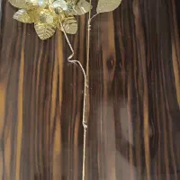 گل آفتاب گردون