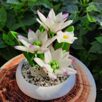 گل خمیری و گلدون سنگی صنایع دستی